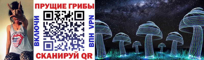 Купить закладки  Бикин  Псилоцибиновые грибы Psilocybe 